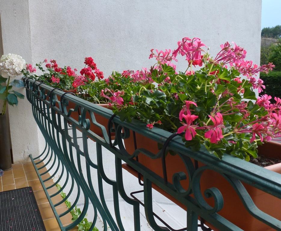 Villa Manon 摩昂萨图 外观 照片