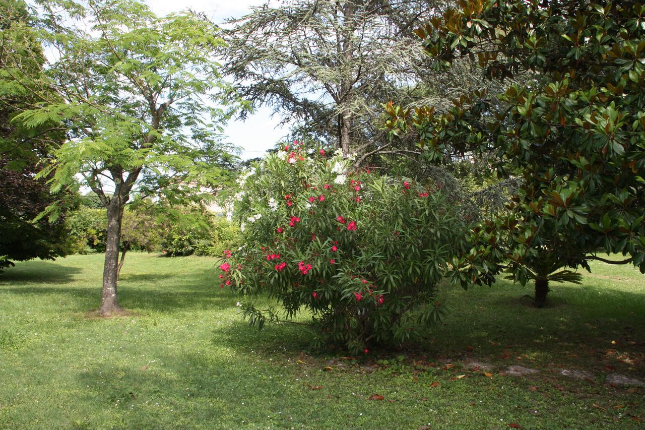 Villa Manon 摩昂萨图 外观 照片